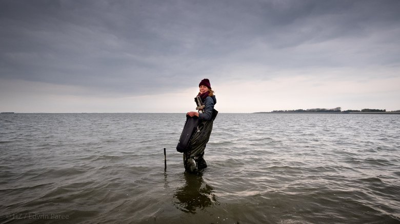 Onderzoeker Jildou Schotanus tot haar knieën in de zee